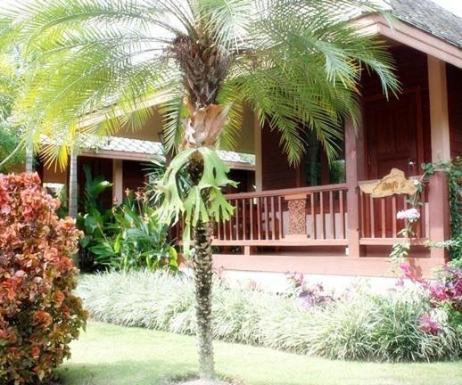 Pai Herbs Resort Pokój zdjęcie